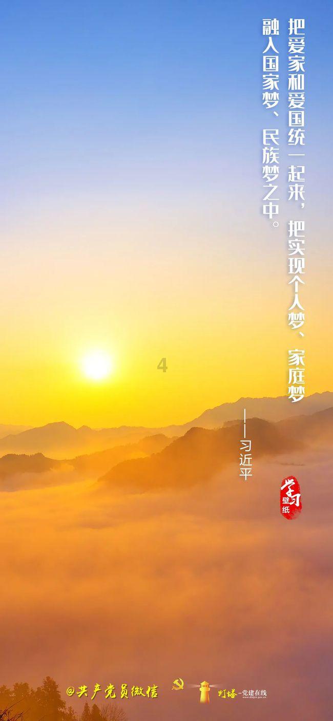 救援小橘猫